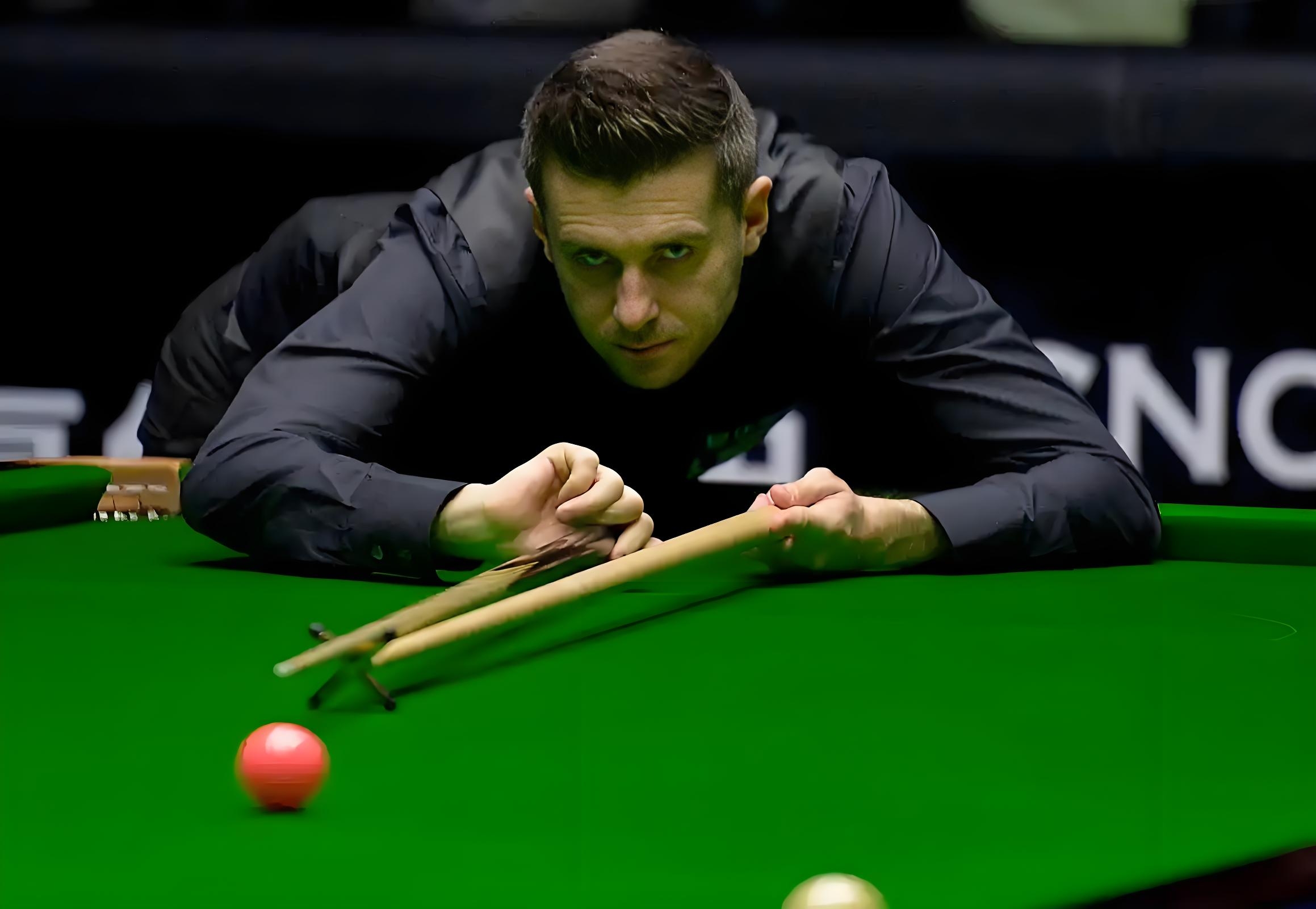 概率与数据 概率与数据